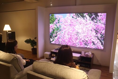 203_hometheater_03.JPG