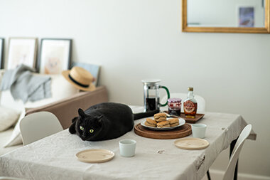 スカスカの部屋につまっているもの2