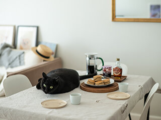 lifestyle219_05_1.jpg