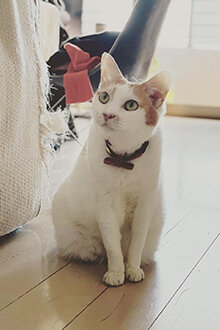 生きるために必要なものは、ほんの少し3