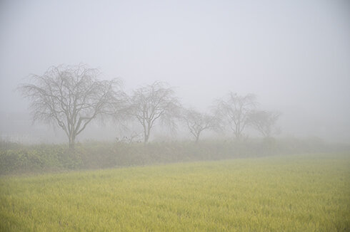 深い霧に包まれた鯖江市河和田地区の朝。湿度の高い気候は漆器づくりに最適という。