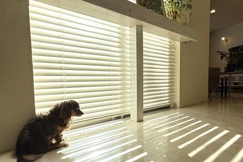 自然由来の成分でペットにも安心