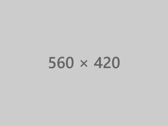 dummy-390-1.jpg