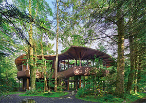 大賞 作品名『 Grove Strolling Corridor』(谷口幸平 株式会社and to建築設計事務所)