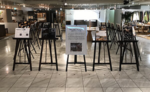 event854_01.jpg