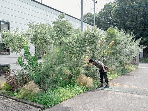BIOTA「一条工務店群馬の事務所の外構植栽」(2024)